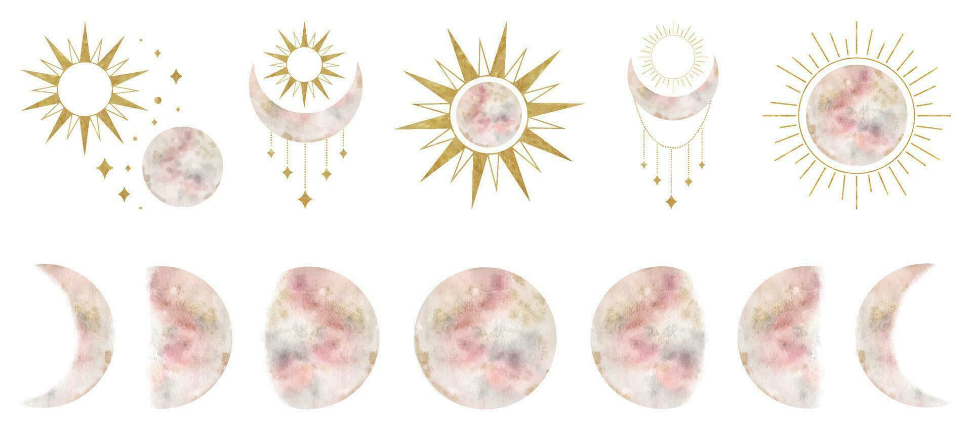 Set of crescent moon, sun, floral elements. Moon, sun and. Isolated watercolor illustration on the topic of astrology and esotericism. Magic celestial clipart for design, print, fabric or background vector