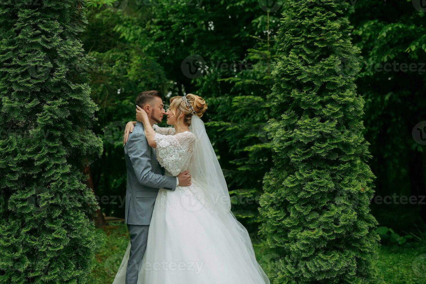 Portrait of the bride and groom standing against the background of green trees, hugging and kissing. Stylish groom. Fashion and style. Beautiful bride photo