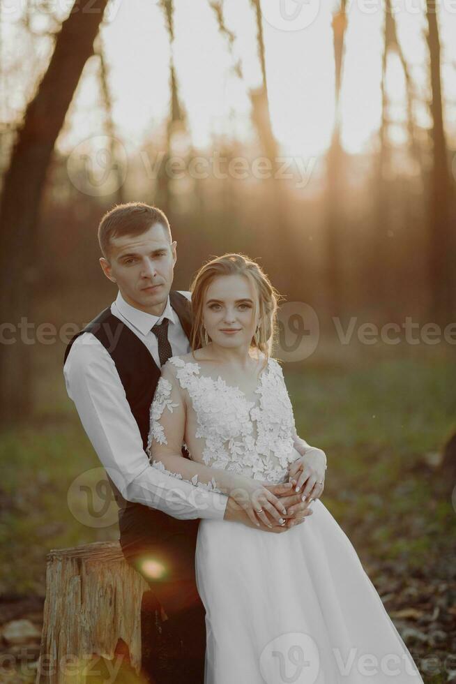 Wedding photo in nature. The groom sits on a wooden stand, the bride stands next to him, leaning on his shoulder. look at the camera. Portrait of the bride and groom