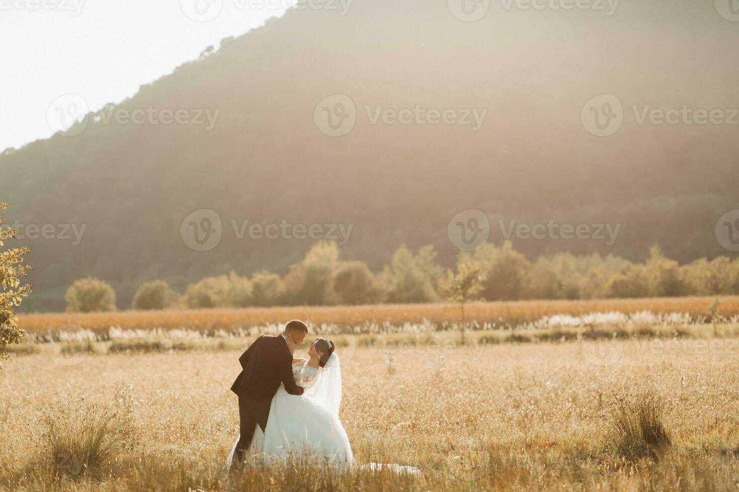 Wedding photo. The bride and groom are standing in a field against the background of trees and big mountains. Photo in a light key. Couple in love. Stylish groom