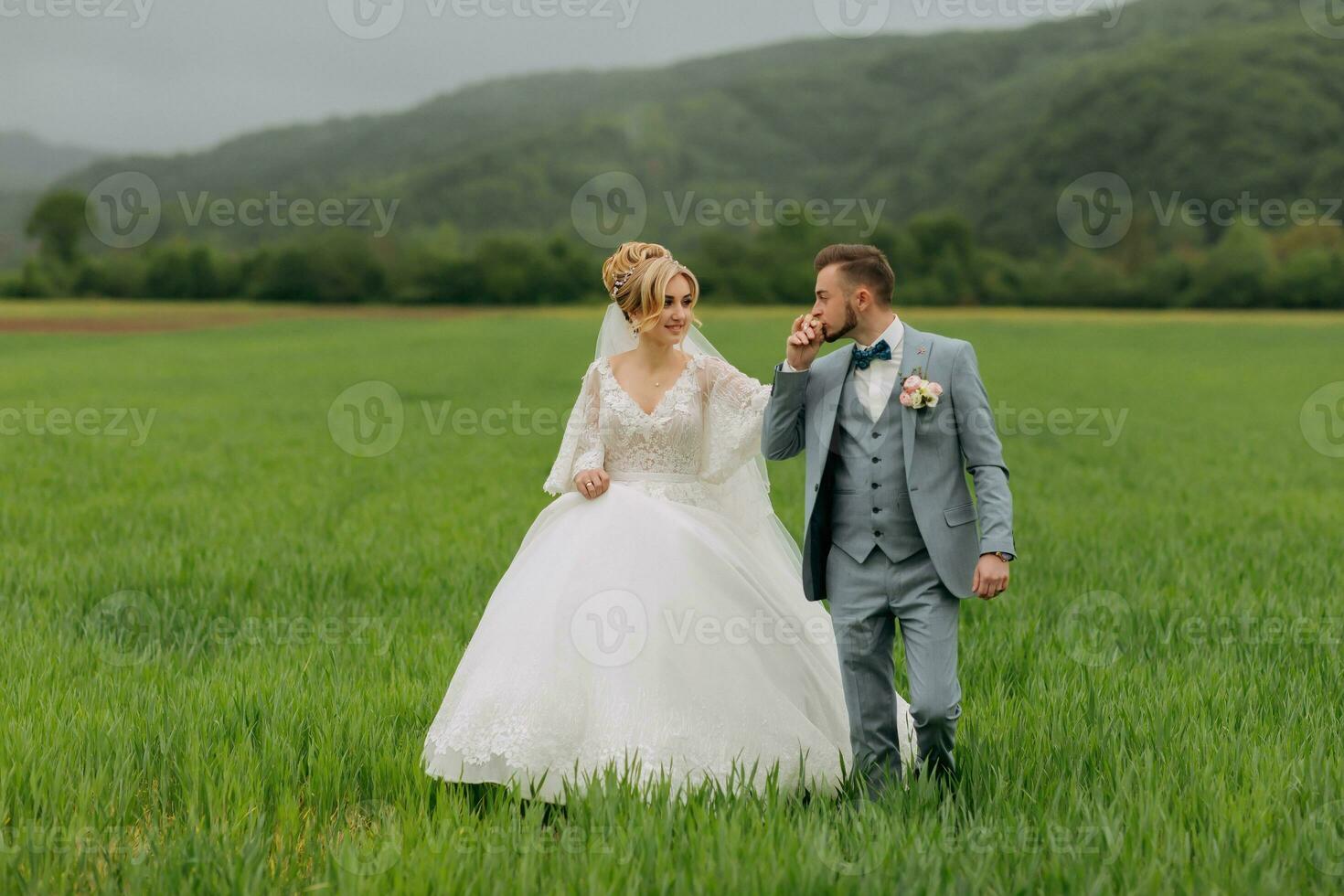 Wide-angle portrait of the bride and groom walking on a green meadow against the background of mountains. Front view. Magnificent dress. Stylish groom. Wedding photo
