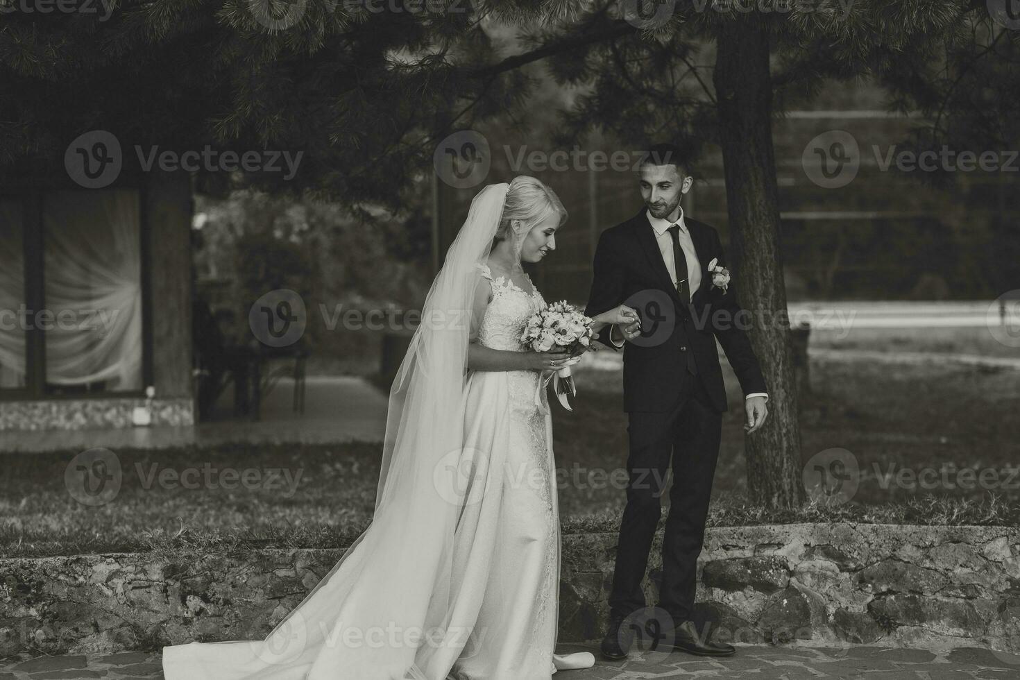 The groom in a black suit and white shirt gently touches and holds the hand of the bride in a white wedding dress, standing near a lake and stones photo