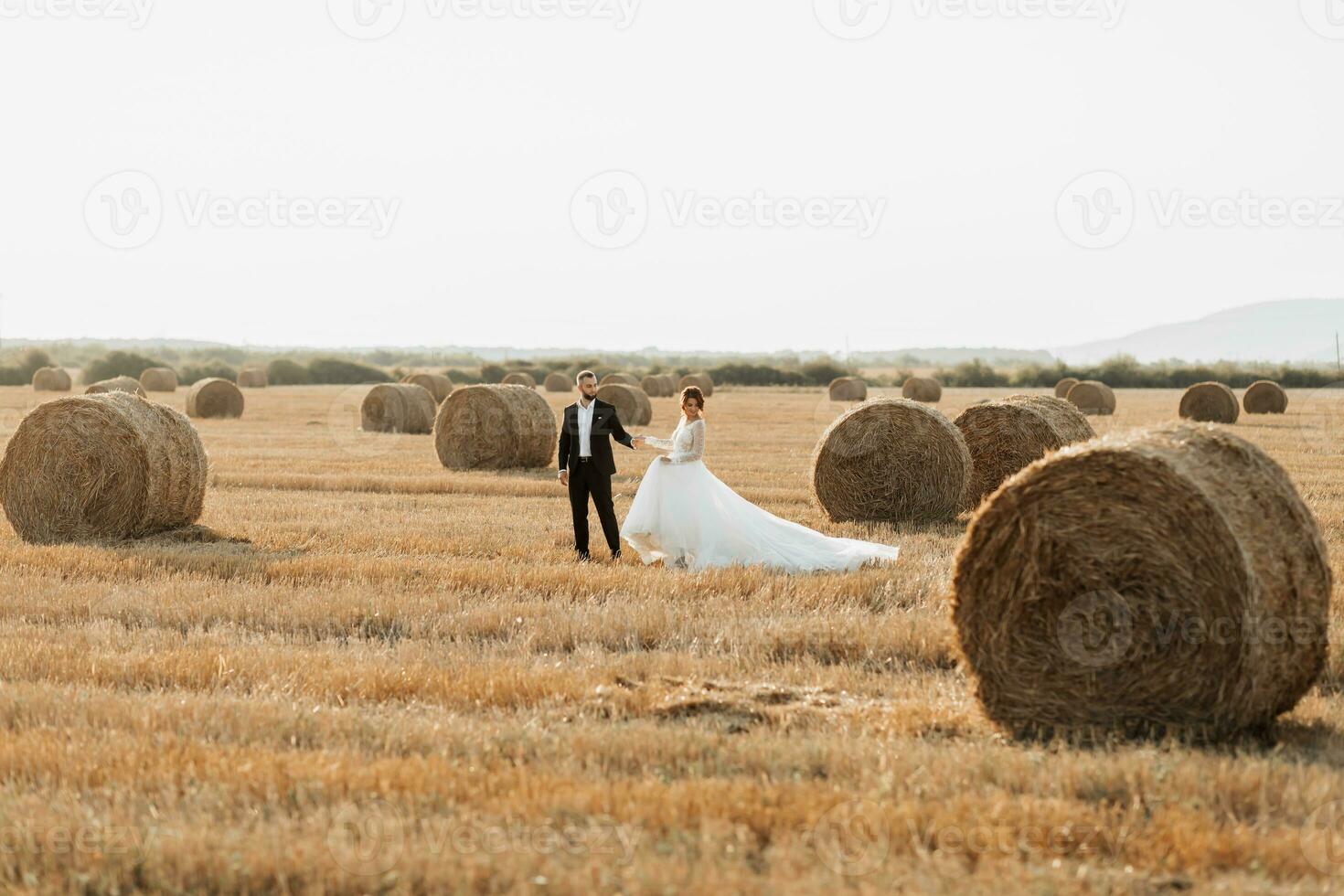 Wedding portrait of the bride and groom walking on the background of hay. The groom holds the hand of the bride and looks at her, her gaze down. Red-haired bride in a long dress. Stylish groom. Summer photo