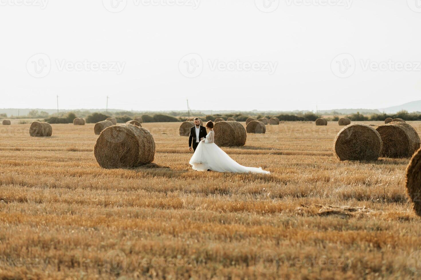 Wedding portrait of the bride and groom walking on the background of hay. The groom holds the hand of the bride and looks at her, her gaze down. Red-haired bride in a long dress. Stylish groom. Summer photo