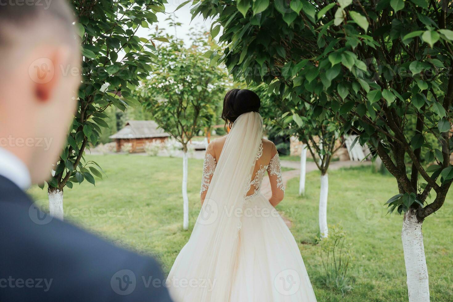 Boda retrato de el novia y novio en naturaleza. un elegante novio soportes detrás el novia, en el jardín cerca el arboles hermosa cordón velo y cordón vestido. fiesta concepto foto