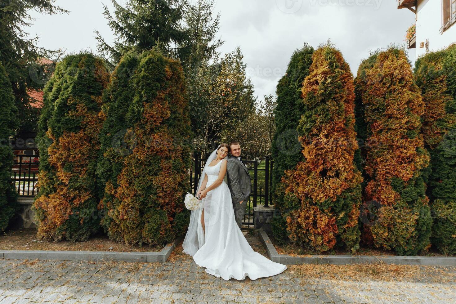 The bride and groom leaned their shoulders in the park. A couple of newlyweds, the bride and groom, at a wedding in the nature of green trees. photo portrait Wedding couple