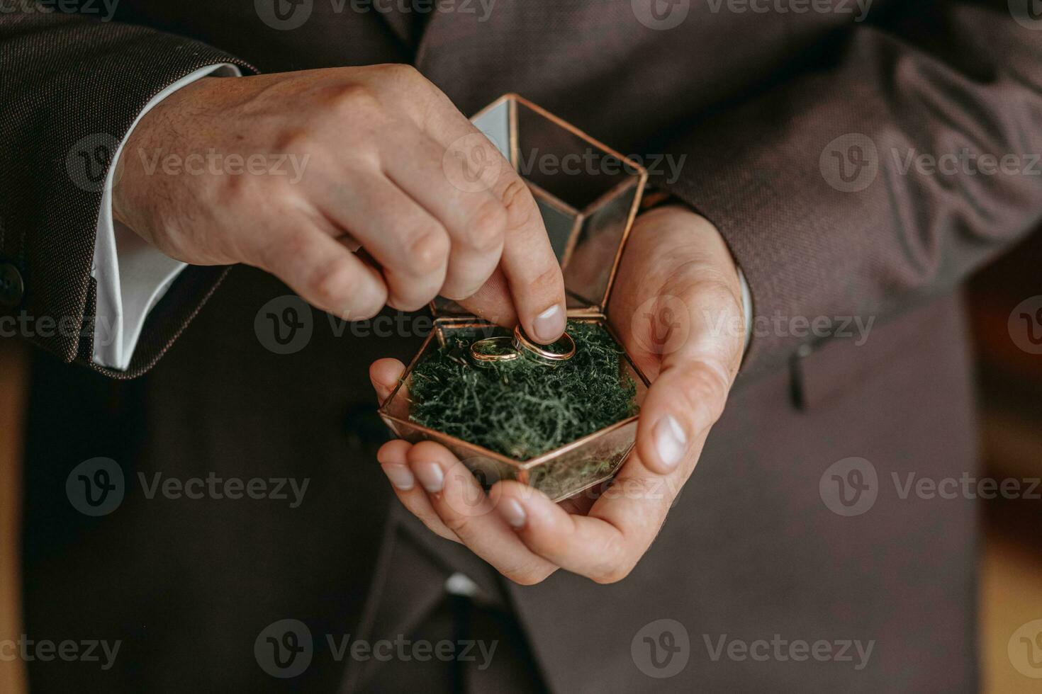 Wedding gold rings on a decorative glass box with wooden green moss, standing in the hands of the groom, close-up. Jewelry concept photo