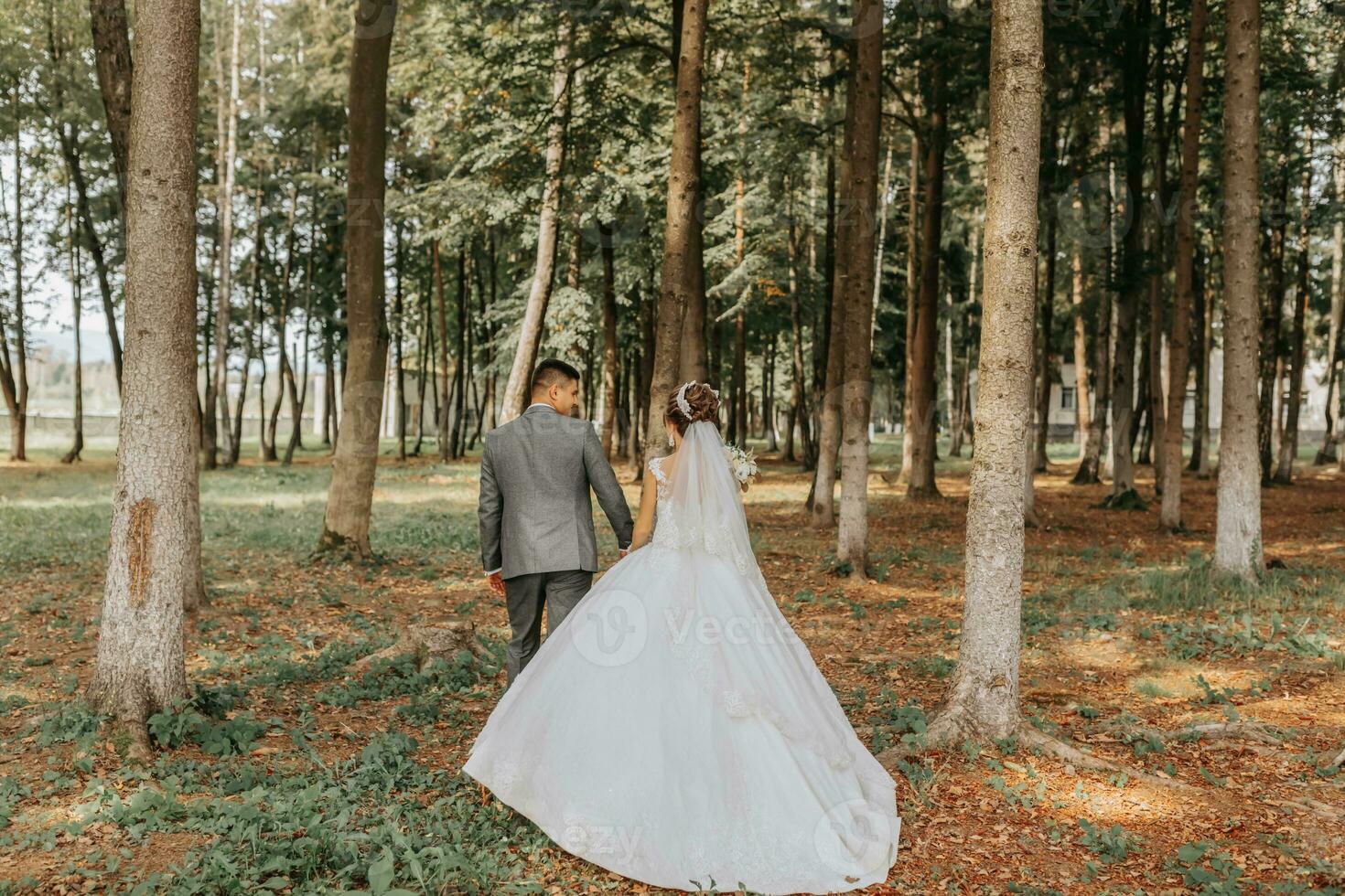 the bride and groom walk hand in hand through the forest. Happy couple. Wedding photo. Couple in love. Tall trees, wide-angle photo. Perfect light photo