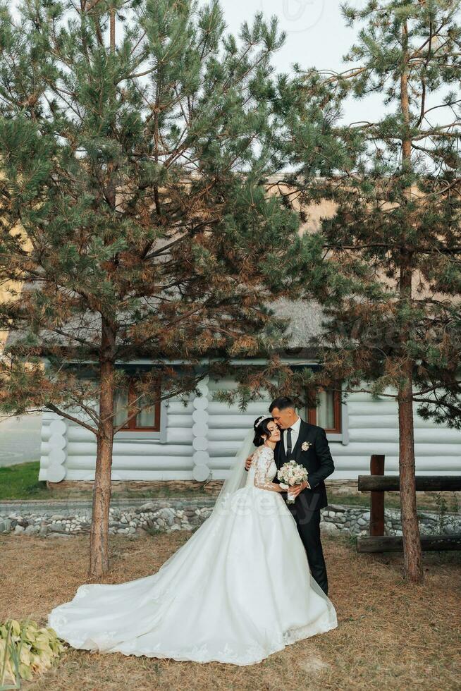 Wedding portrait in nature. The brunette bride and groom in a white long dress are standing, holding hands against the background of conifers and a white hut. Stylish groom. photo