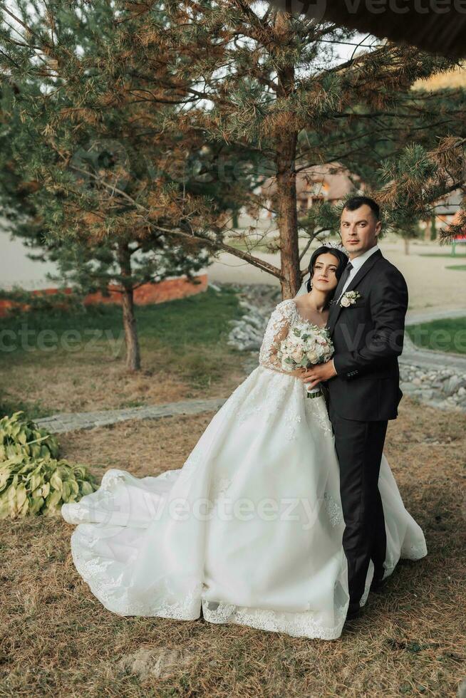 Boda retrato en naturaleza. el morena novia y novio en un blanco largo vestir son en pie y abrazando en contra el antecedentes de conífero arboles y un blanco cabaña. foto