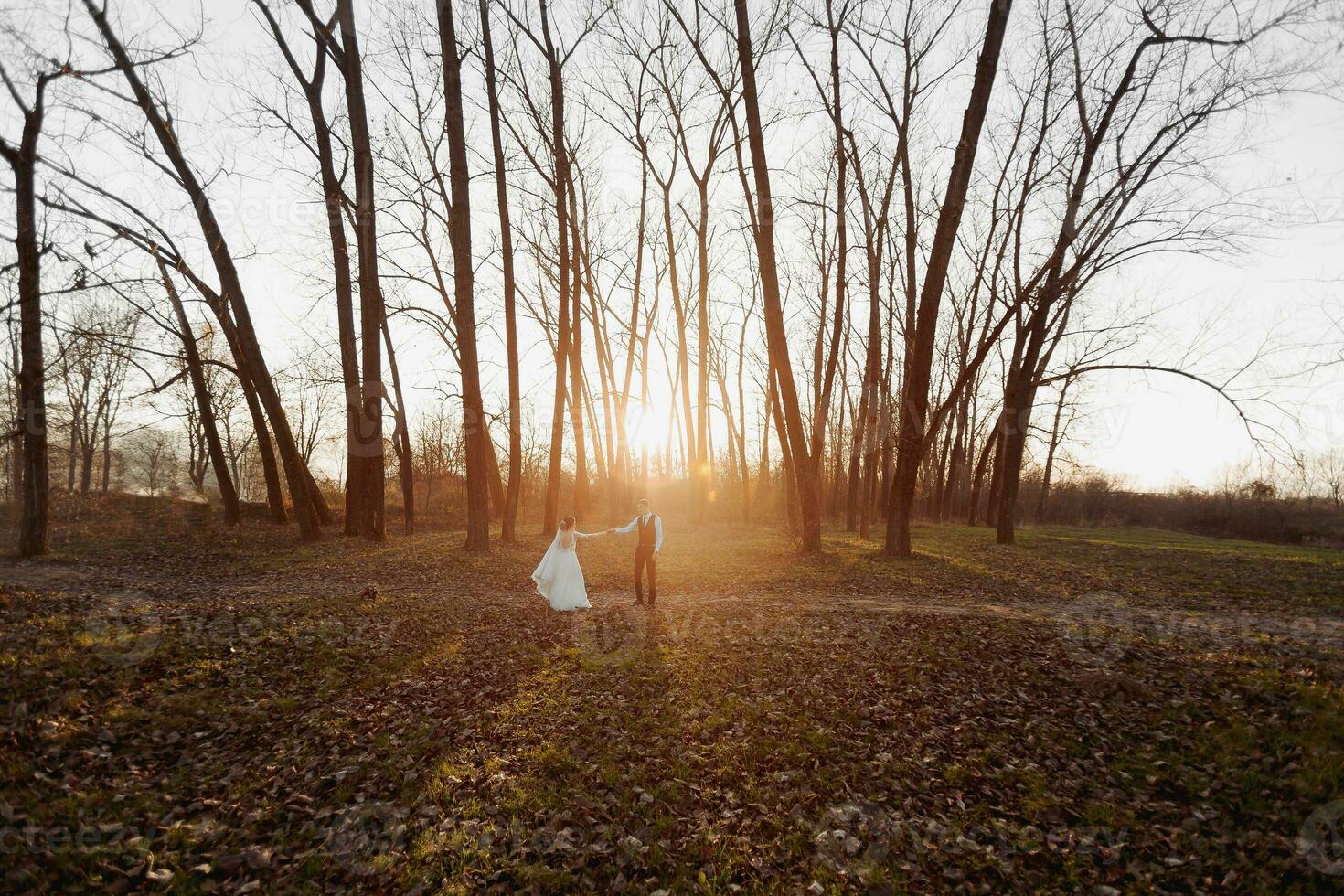 Boda foto. el novia y novio son caminando en el bosque. el novio sostiene el mano de su amado. largo Boda vestido. un Pareja en amor entre alto arboles otoño luz de sol. foto