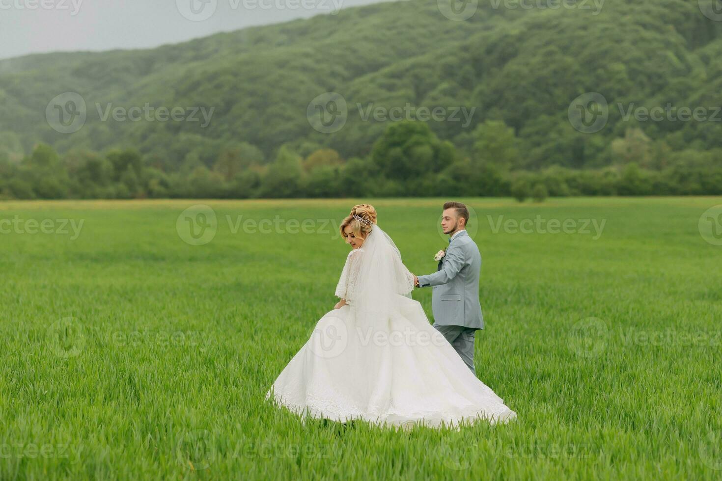 Wide-angle portrait of the bride and groom walking on a green meadow against the background of mountains. Rear view. Magnificent dress. Stylish groom. Wedding photo