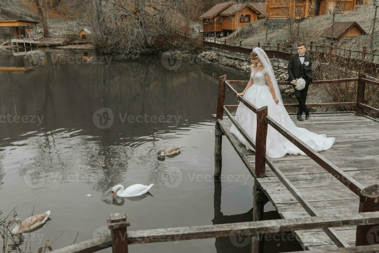 A stylish bride in a lush dress and fashionable hairstyle stands on a pier in a park near wooden houses, the groom behind her. swans swim in the lake photo