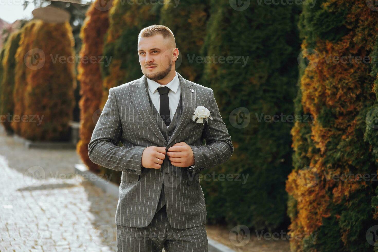 handsome groom in an elegant suit. A bearded young man in a stylish tie, a white shirt and a fashionable gray striped vest. Fashionable portrait. photo