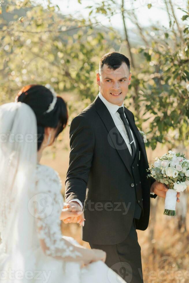 A wide-angle portrait of a bride and groom walking across a field against the backdrop of mountains. Rear view. A wonderful dress. Stylish groom. Wedding photo in nature