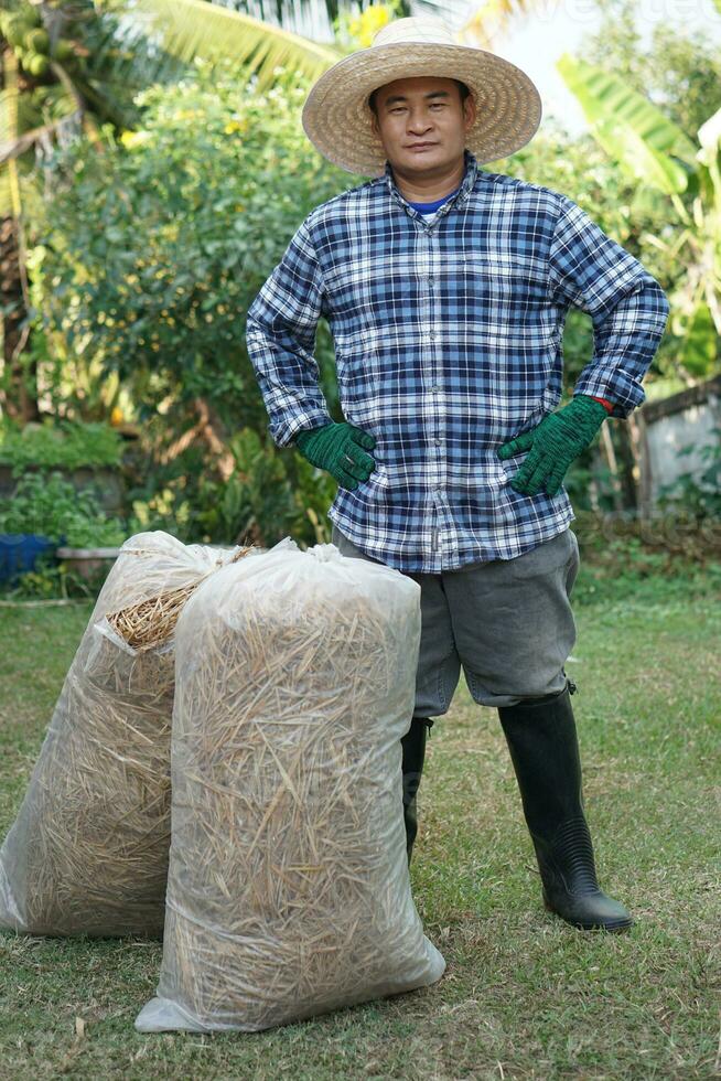 Asian man gardener stands beside two bags of rice straw hay, prepared for making compost in garden. Concept, using agricultural waste materials that can decompose to make compost or cover soil ground. photo