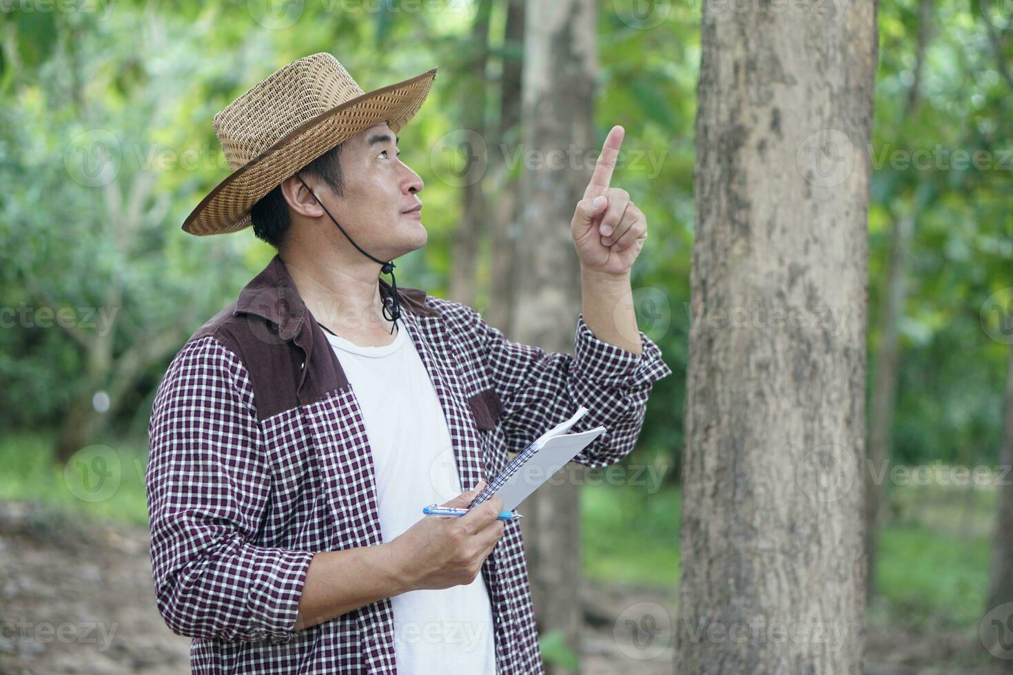 Asian man botanist is inspecting trunk of tree in forest to analysis and research about growth of tree. Concept, forest valuation. Conservation of environment. Survey botanical plants. photo