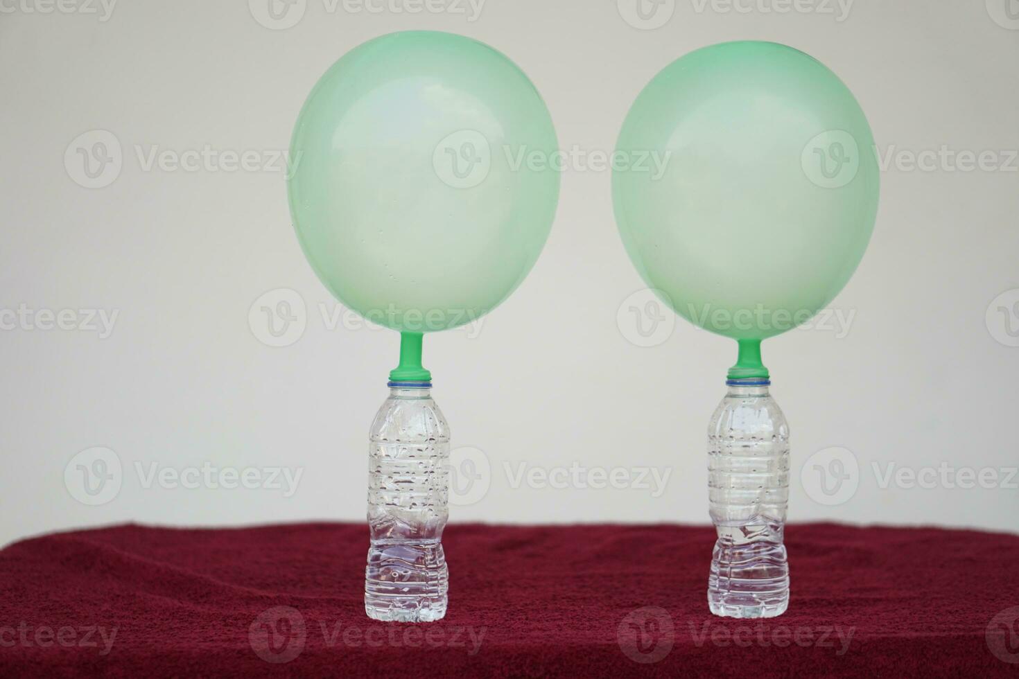 Two green balloons on top of bottles. Concept, science experiment about reaction of chemical substance, vinegar and baking soda that cause balloon inflat. Last step of experiment photo