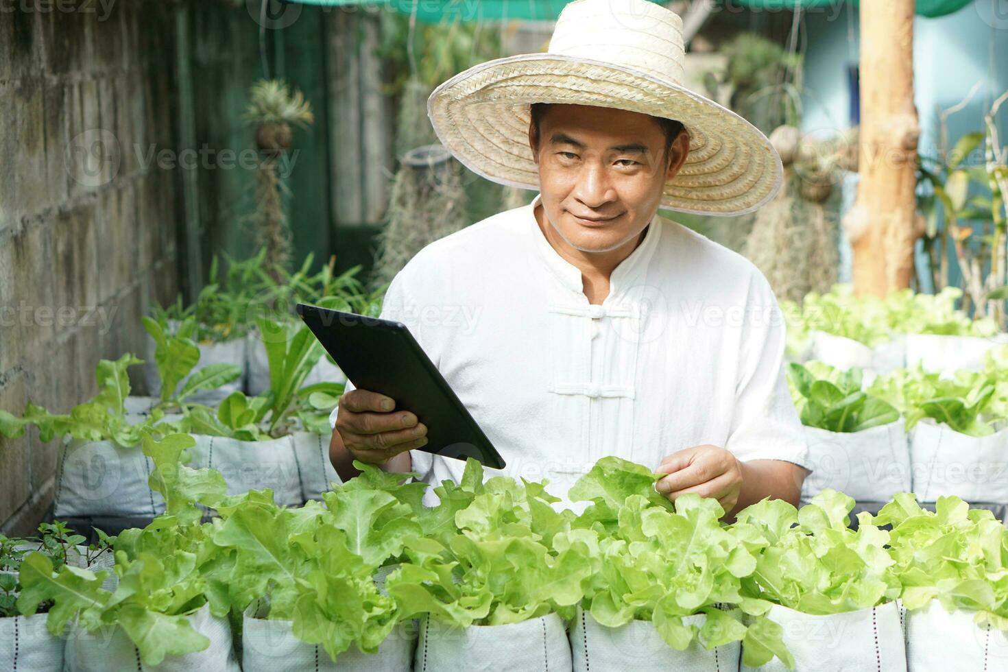Asian man gardener is checking and inspecting quality, growth and plant diseases of organic salad vegetables by using smart tablet. Concept, Agriculture research. Learn from internet to develop crops photo