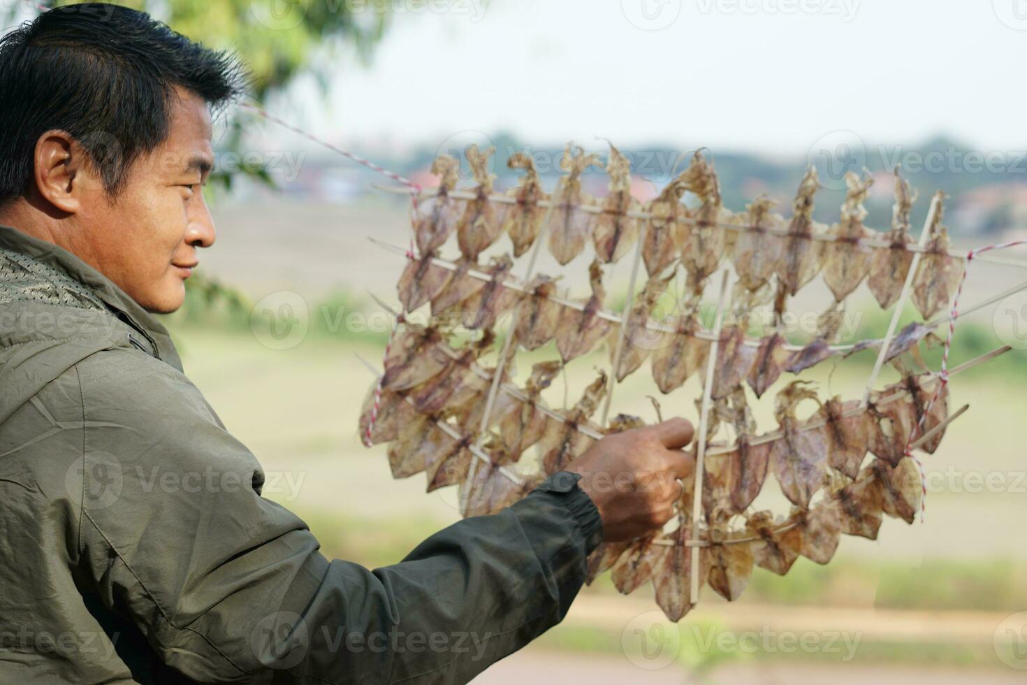 Asain man is drying squids outdoor. Concept, food preservation for next time cooking or keep long live of food by drying on sunlight or air. Local wisdom of keep food. photo