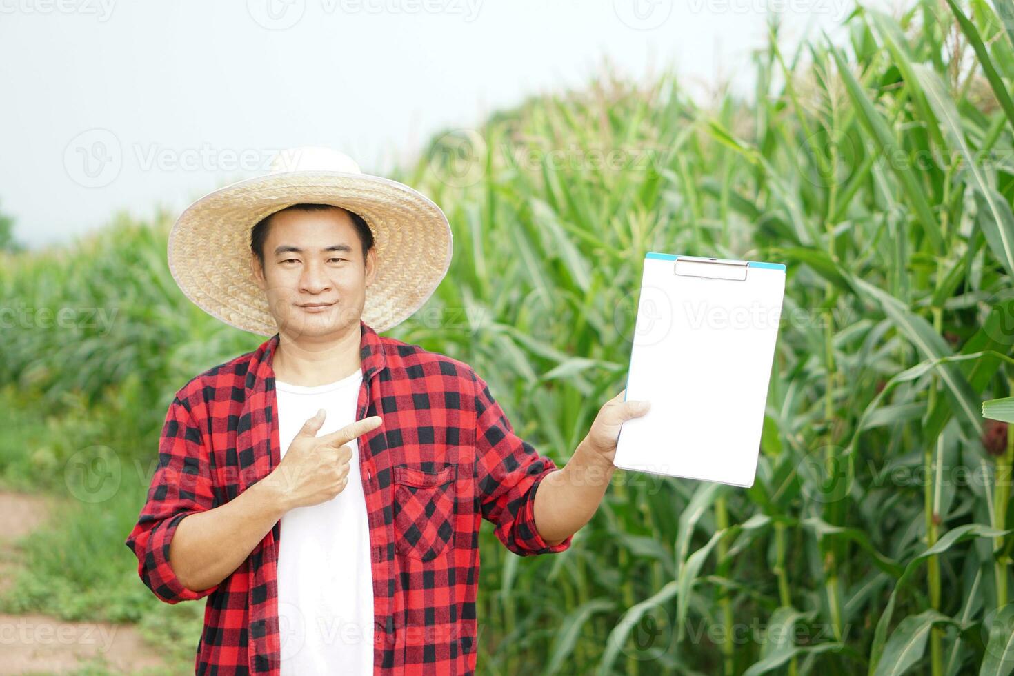 Handsome Asian man farmer wears hat, red plaid shirt, hold and point to blank paper clipboard, stands at maize garden. Concept. Agriculture occupation, survey and research photo
