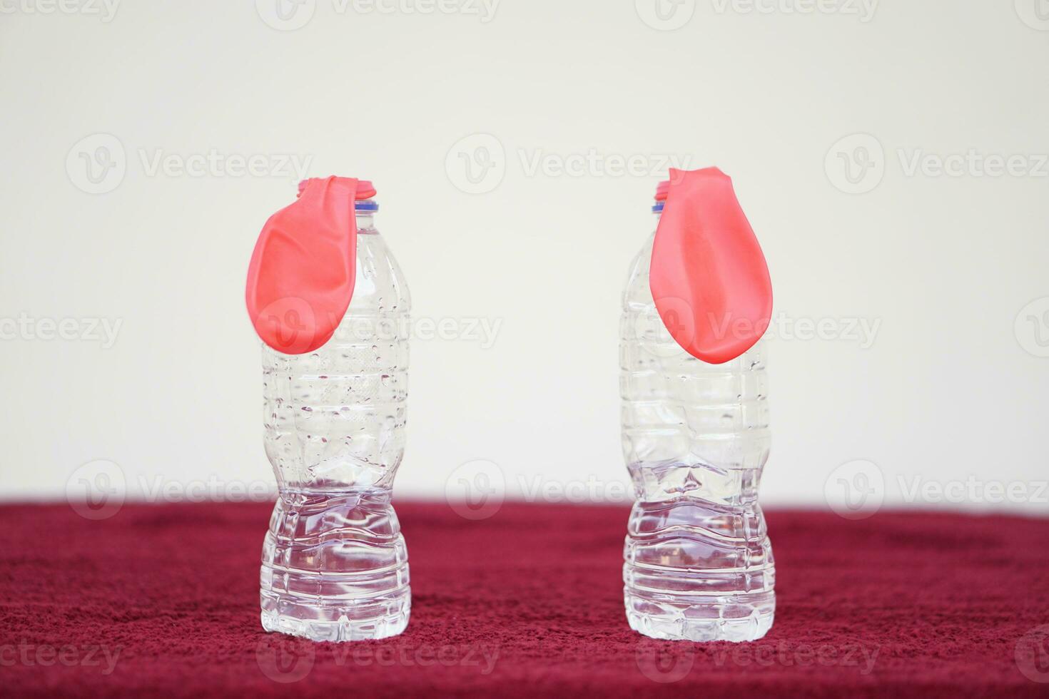 Two pink balloons on top of bottles. Concept, science experiment about reaction of chemical substance, vinegar and baking soda that cause balloon inflat. First step of experiment photo