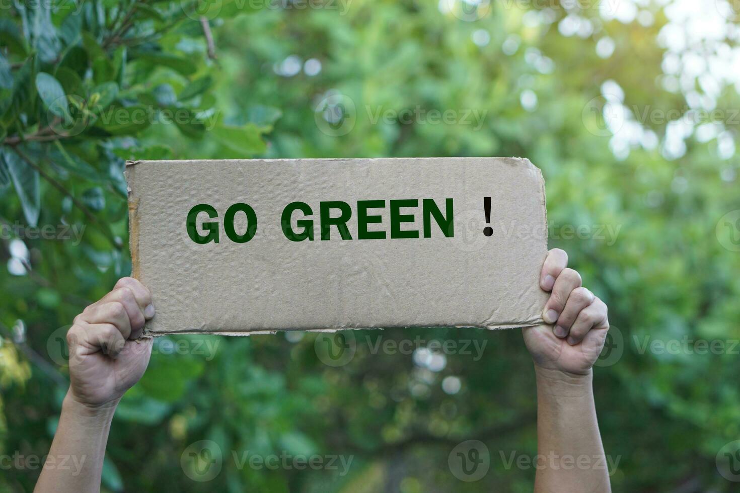 Close up hands hold paper card with text  Go Green. Outdoor background. Concept, campaign people around the world to stop activities that can cause global warming. Environment conservation photo