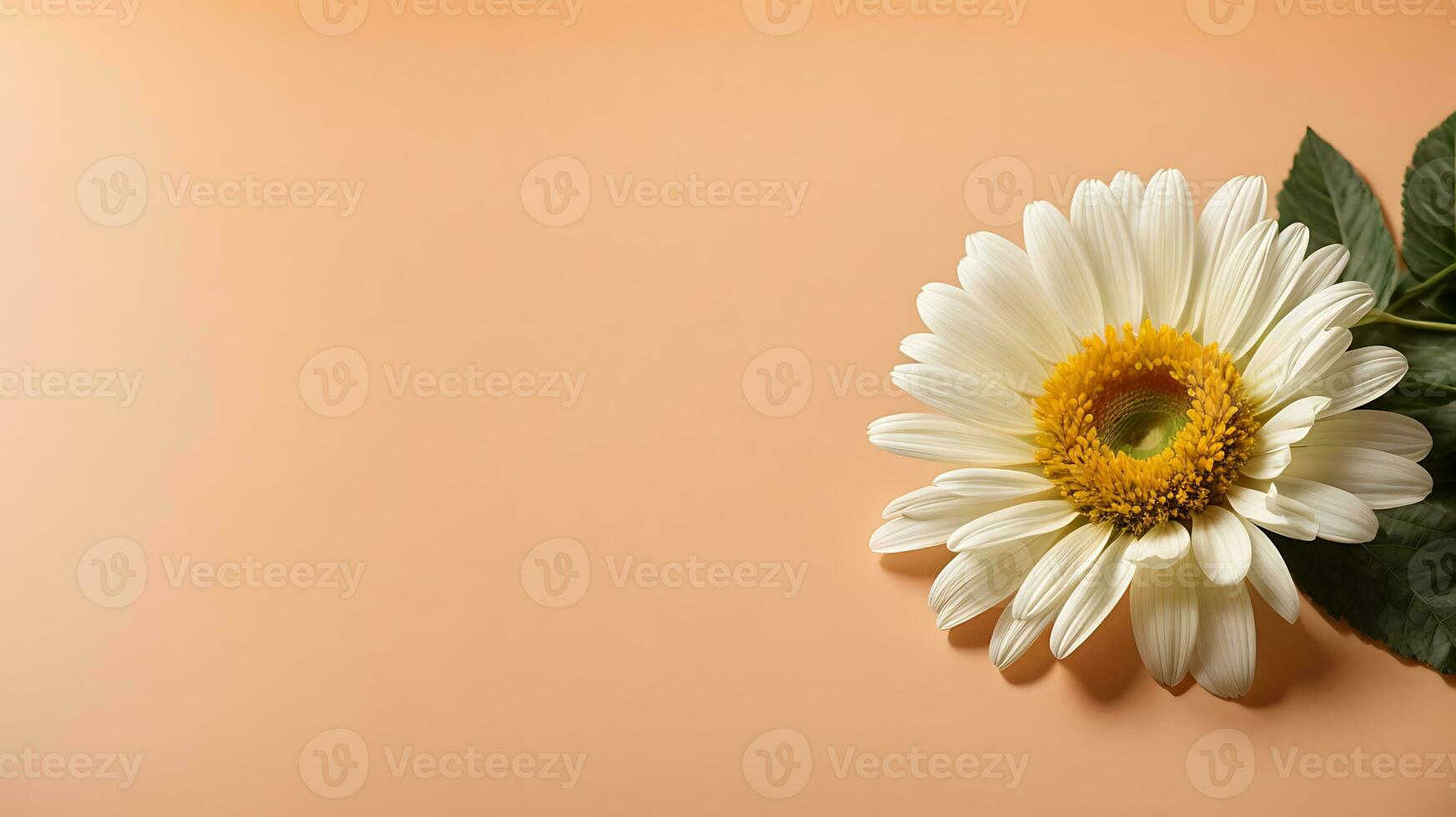 AI generated Lonely chamomile flower on a peach background. Flat lay photo