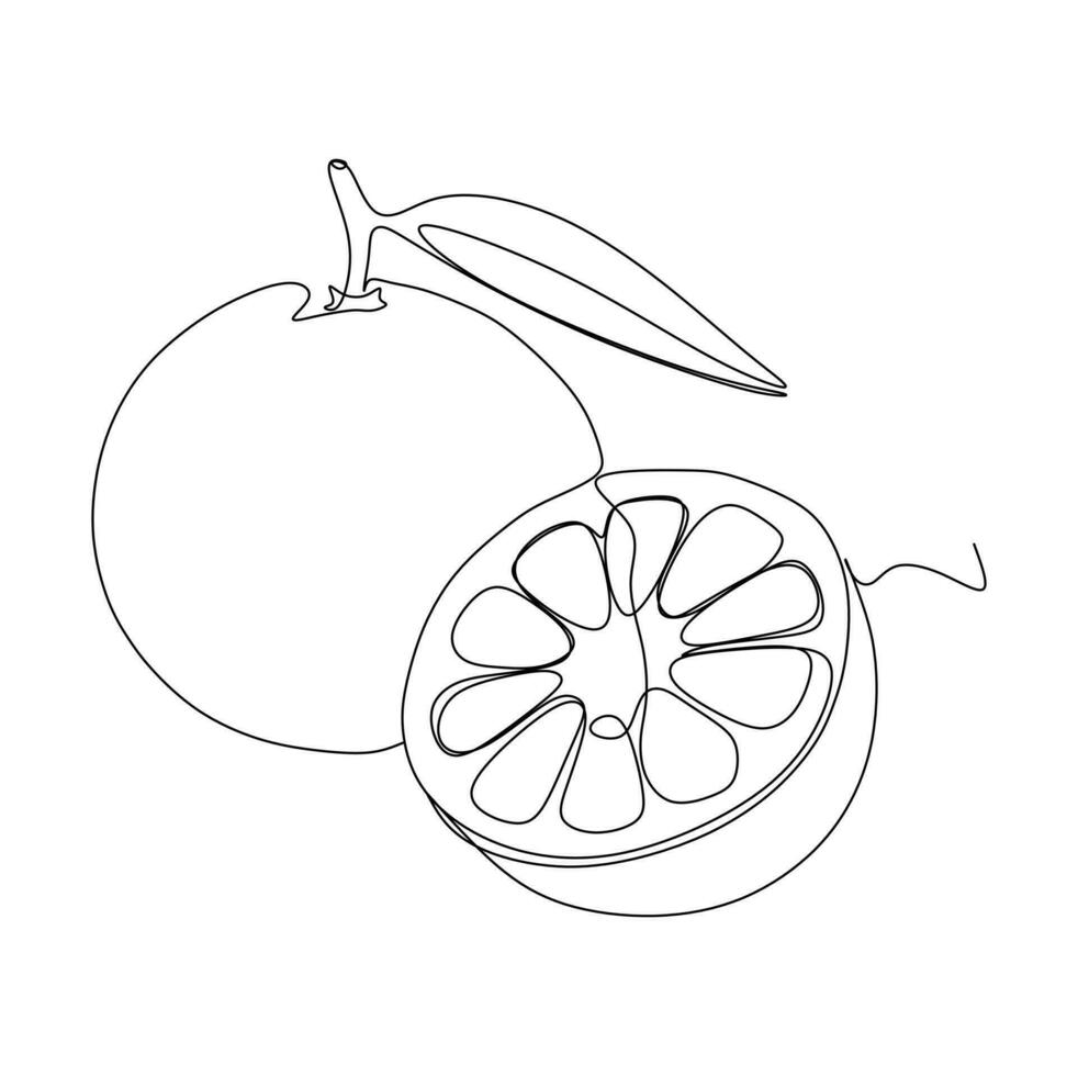 Continuous one line drawing of fresh orange fruit isolated on white background. vector