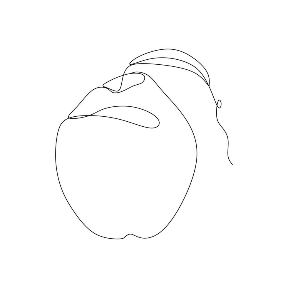 Continuous one line drawing of a coconut fruit on white vector