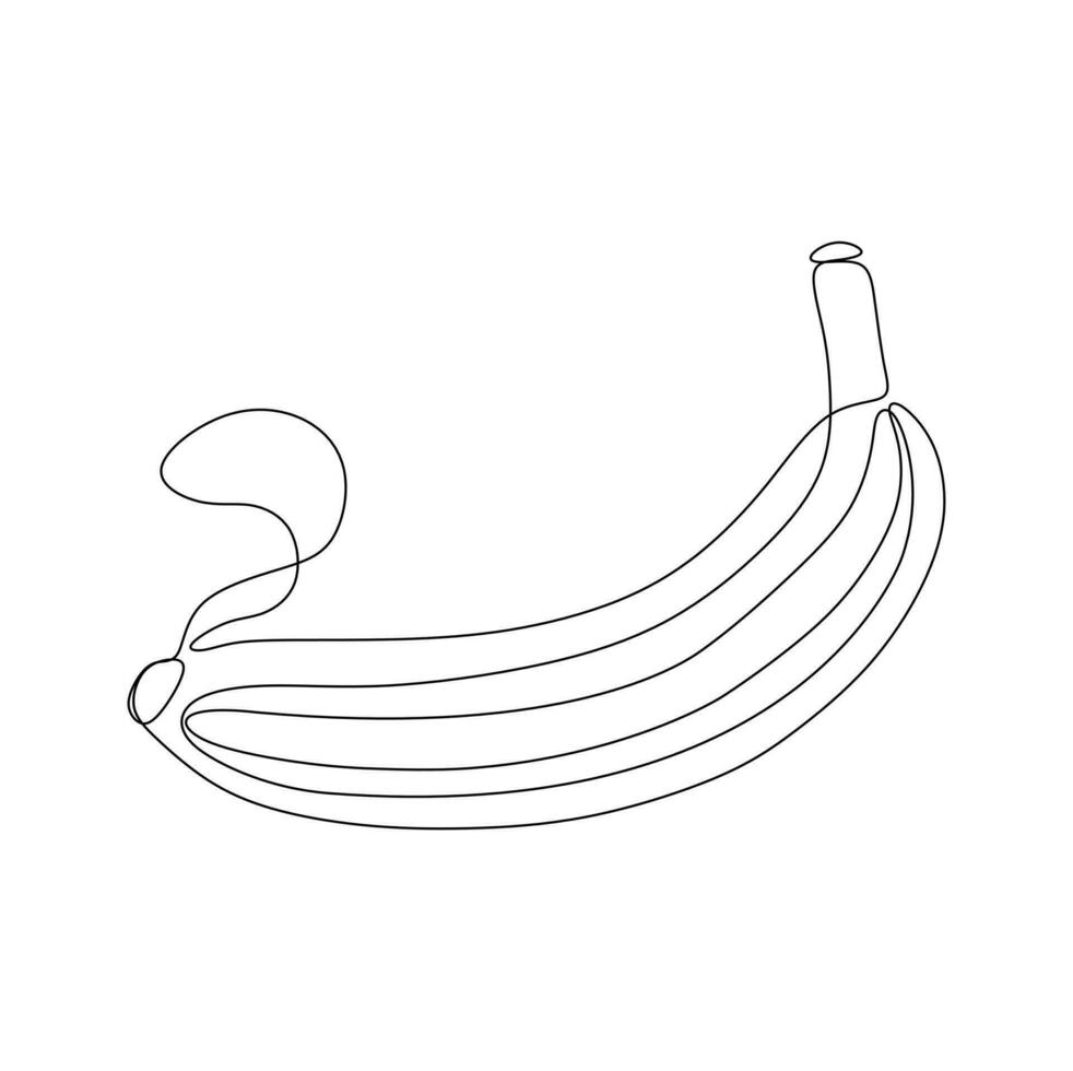 Continuous one line drawing of banana. Vector illustration isolated on white background.