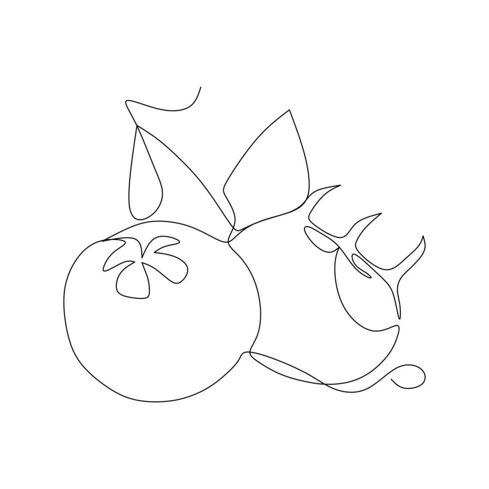 Continuous one single line drawing of tomato fruit icon vector illustration concept