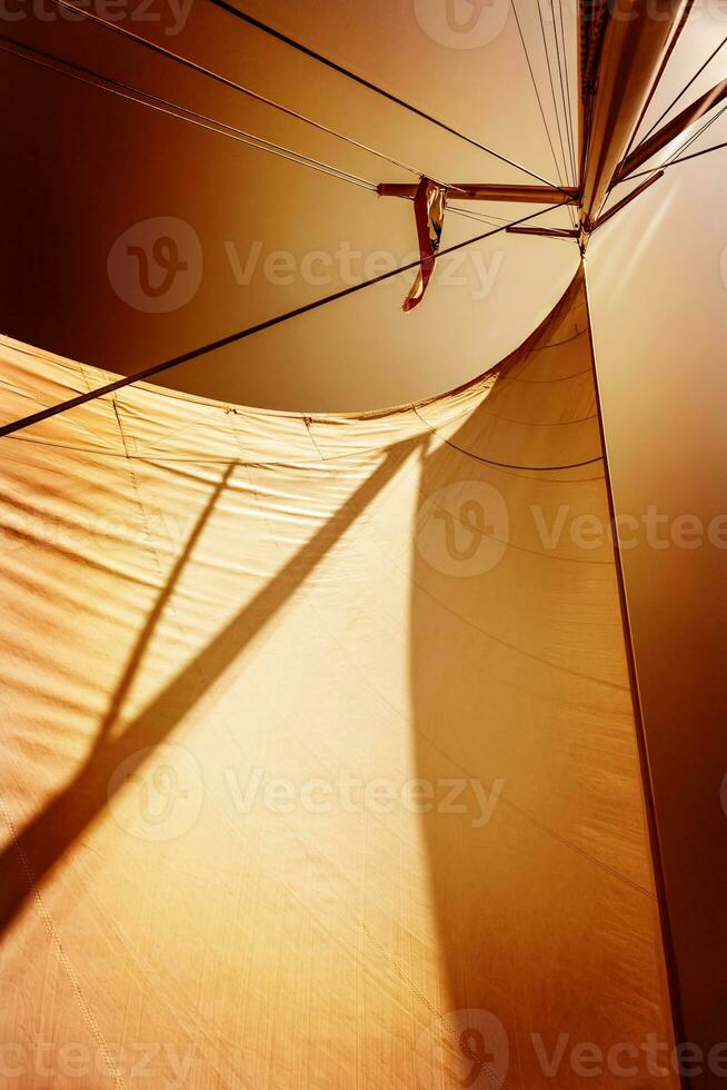 Sails in sunset light photo