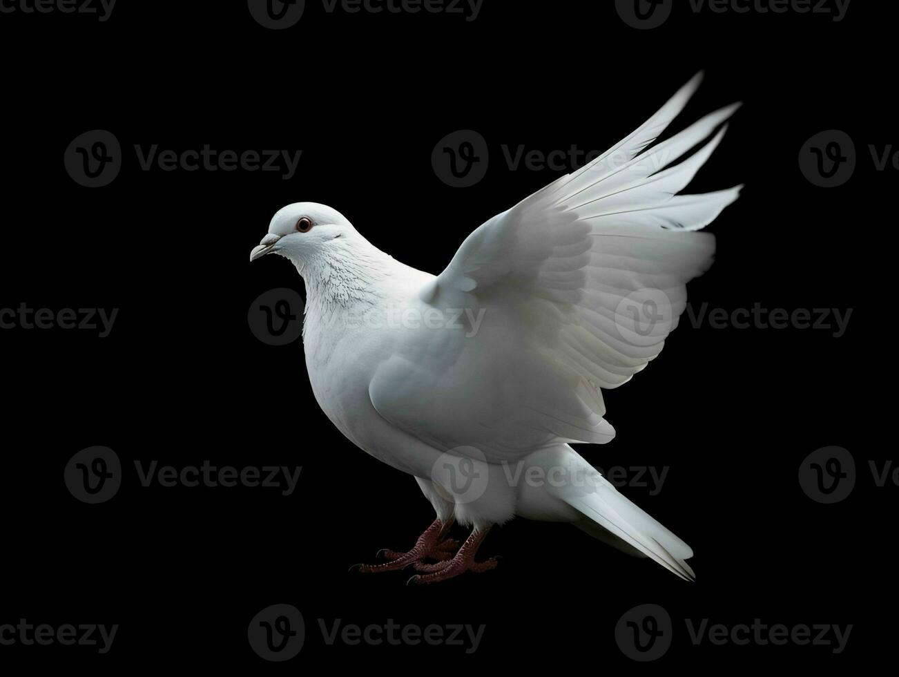 AI generated Beautiful White Dove Flapping Its Wings Isolated on Black Background. Generative AI photo