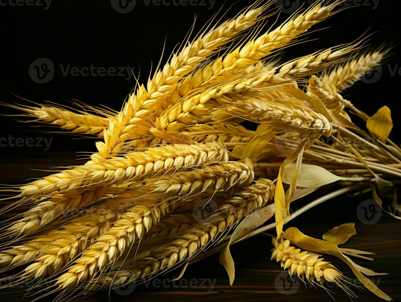 AI generated Yellow Wheat Ears Isolated on Black Background. Wheat Grains. Generative AI photo