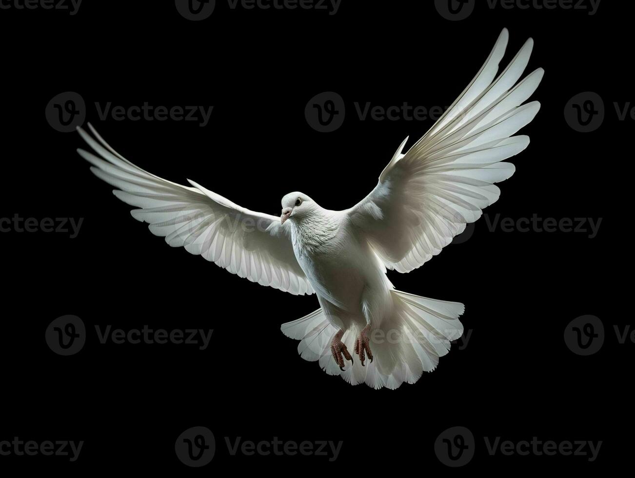 AI generated Beautiful White Dove Flapping Its Wings Isolated on Black Background. Generative AI photo