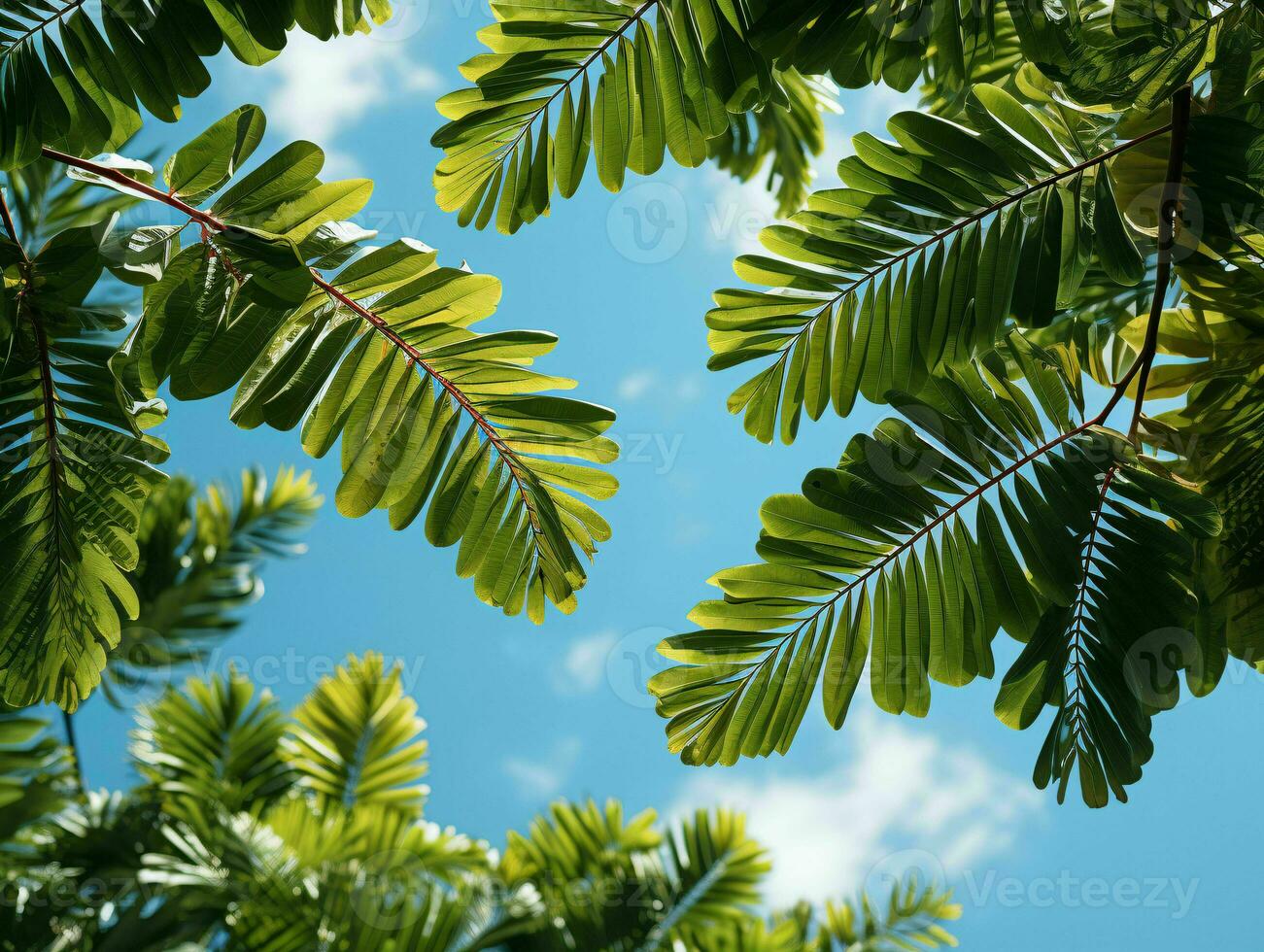 AI generated Exotic Tropical Leaves Background with Copy Space in The Center. Generative AI photo