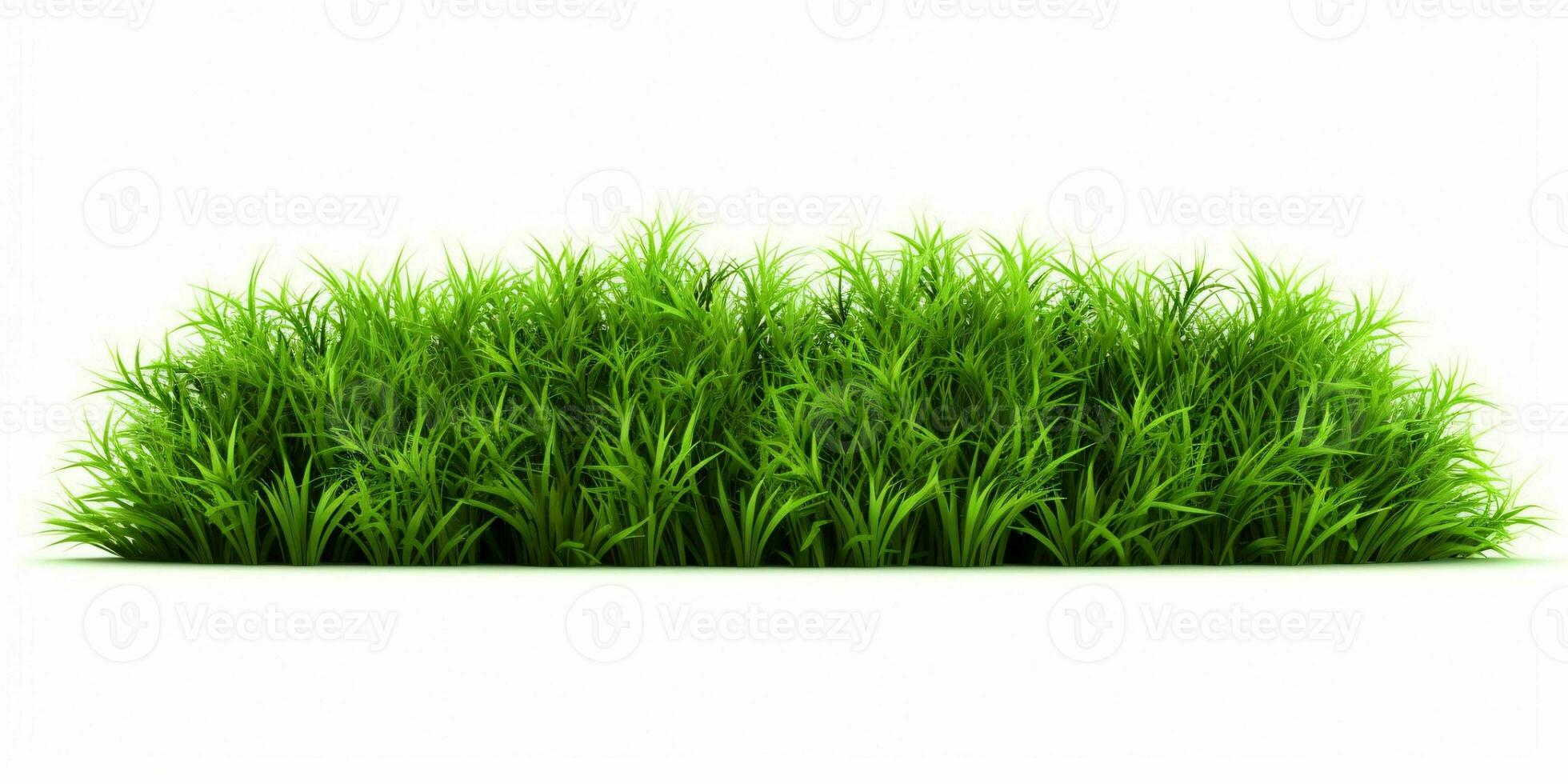 AI generated Fresh Green Grass Isolated on White Background. Generative AI photo