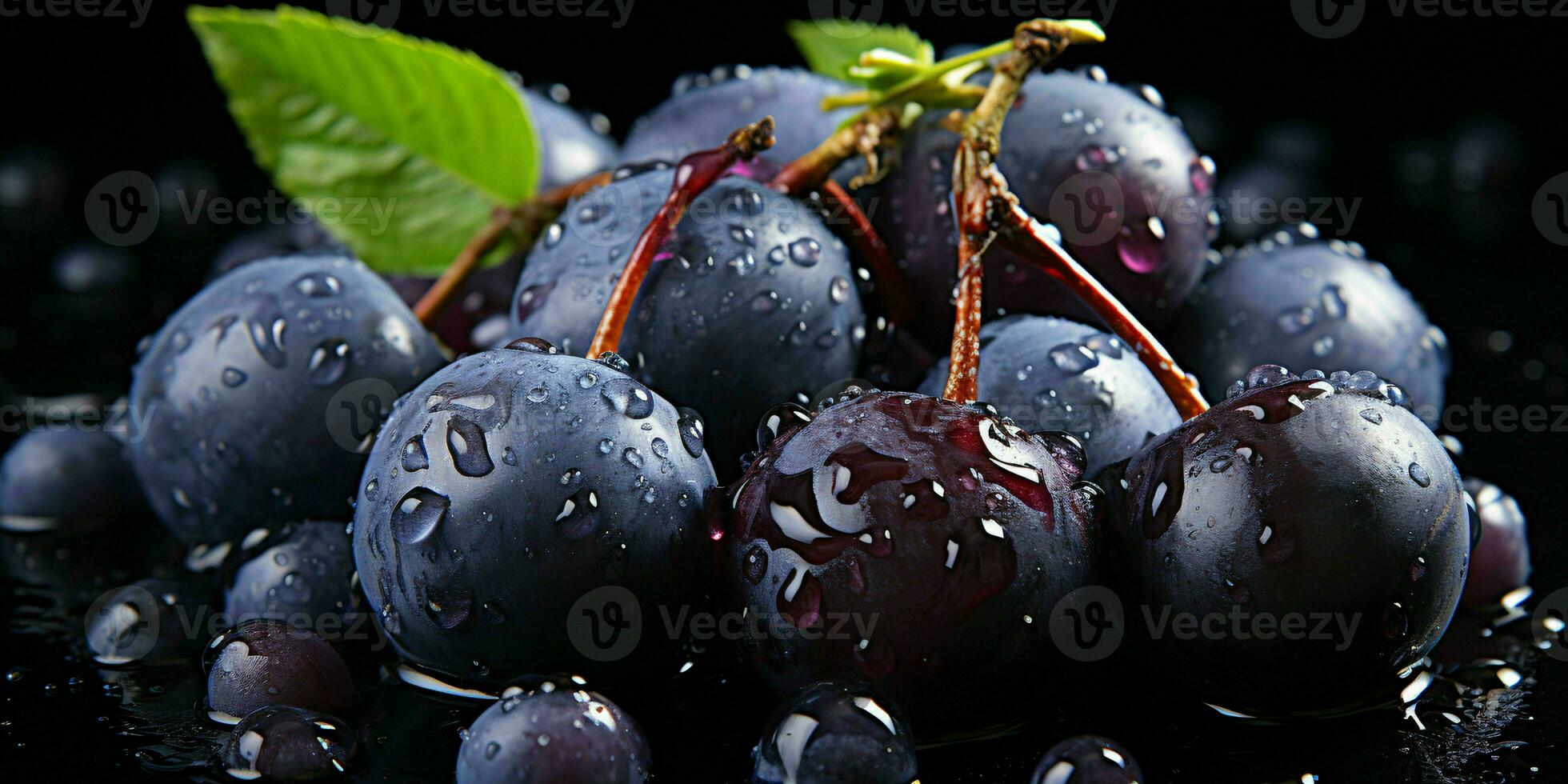 AI generated Fresh Acai Berry with Water Droplets Isolated on a Black Background. Euterpe oleracea. Generative AI photo