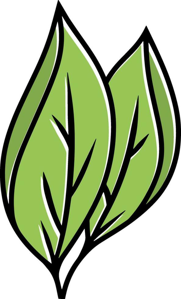 Doodle leaf icon Sketch leaf  clipart Vector illustration