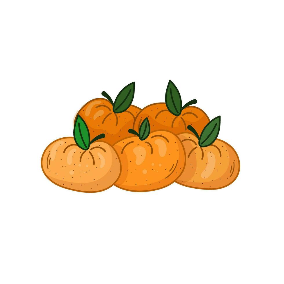 Tangerine Vector illustration of whole citrus. Mandarin fruit isolated on white background. Flat.