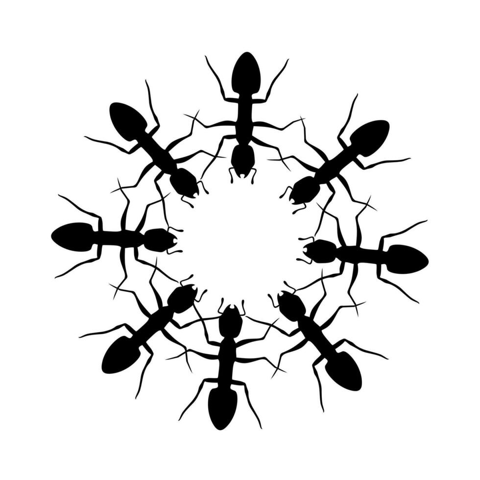 silueta de hormiga colonia en circulo forma. trabajador negro hormigas trabajo duro insectos parásito controlar concepto. vector