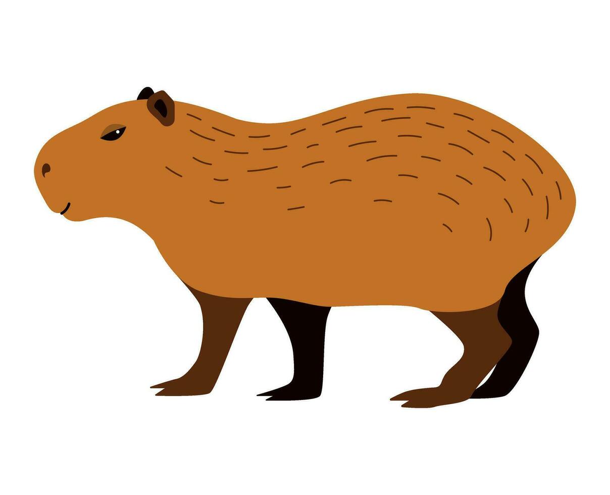 Cute capybara. Cartoon vector illustration, isolated element for your design