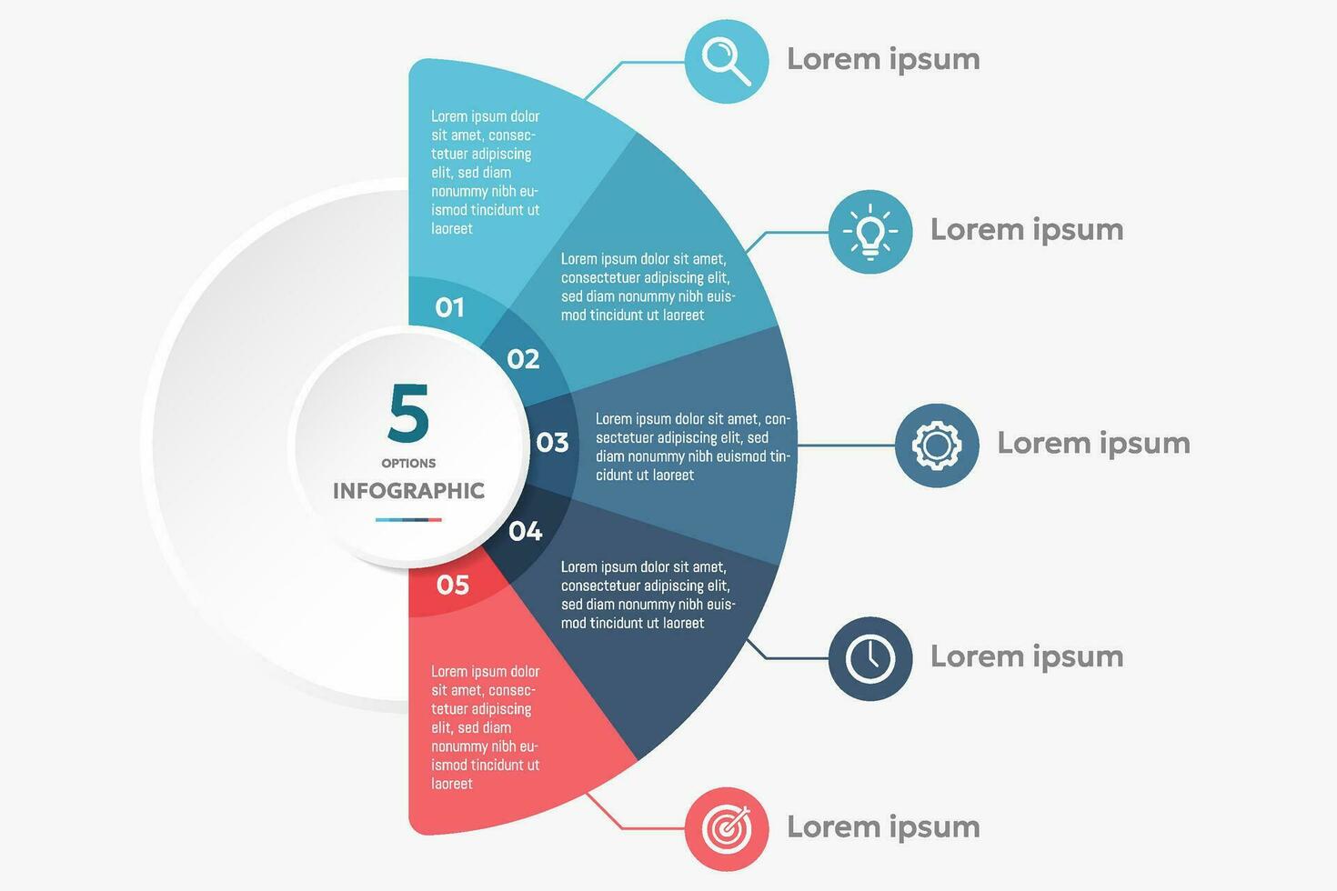 circulo forma infografía gráfico modelo con 5 5 opciones vector