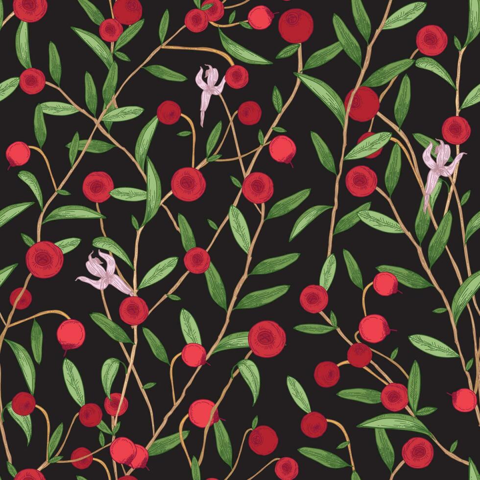 Cranberry seamless pattern. Detailed hand drawn branches with berries. Colorful hand drawn illustration. vector