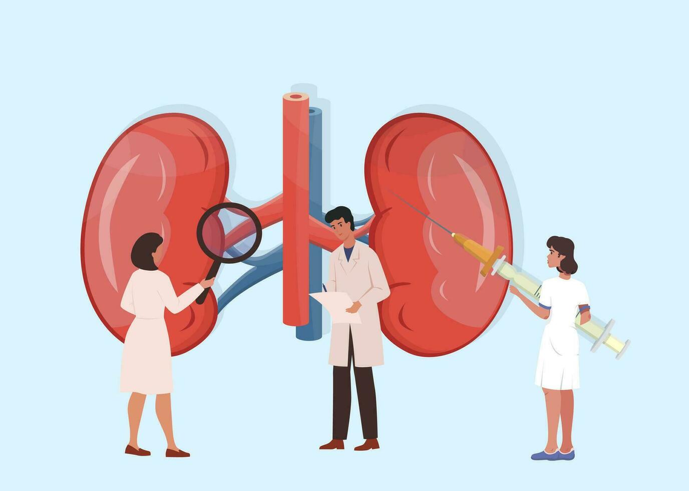 Doctors carrying out medical research, examination of kidney. Kidney disease treatment by professionals. Check of health and condition. Kidney stones. Nephrology, urology concept. vector illustration