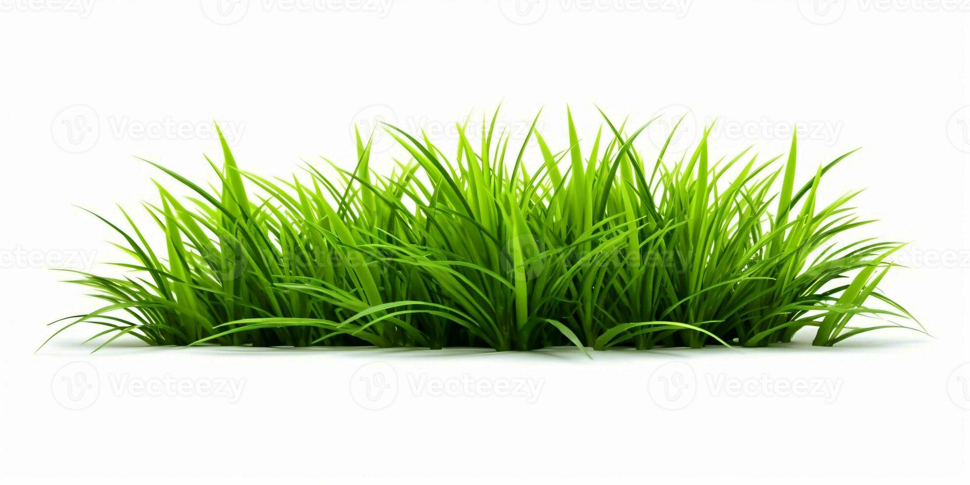 AI generated Fresh Green Grass Isolated on White Background. Generative AI photo