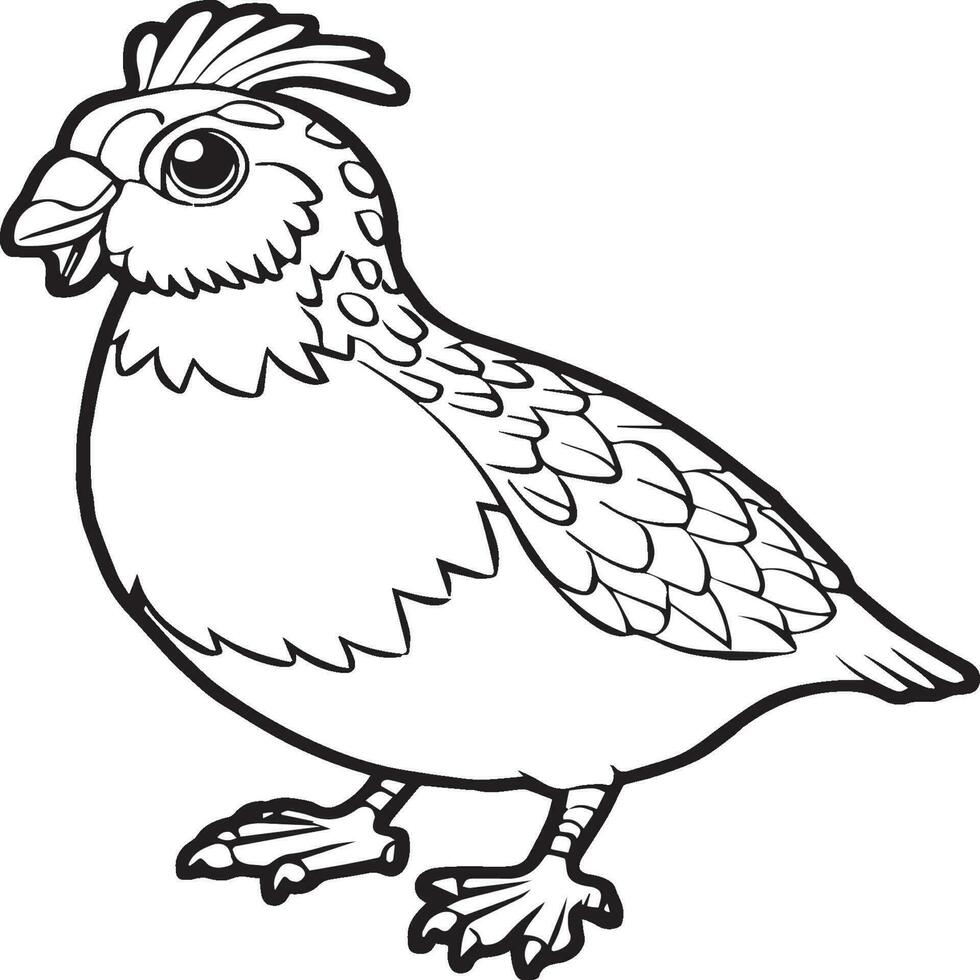 pájaros para colorear vector