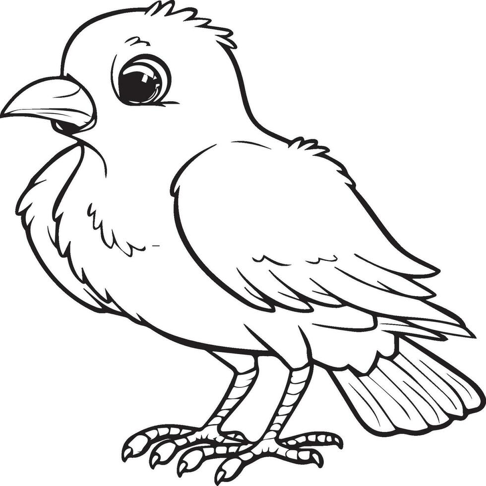 Bird coloring pages vector