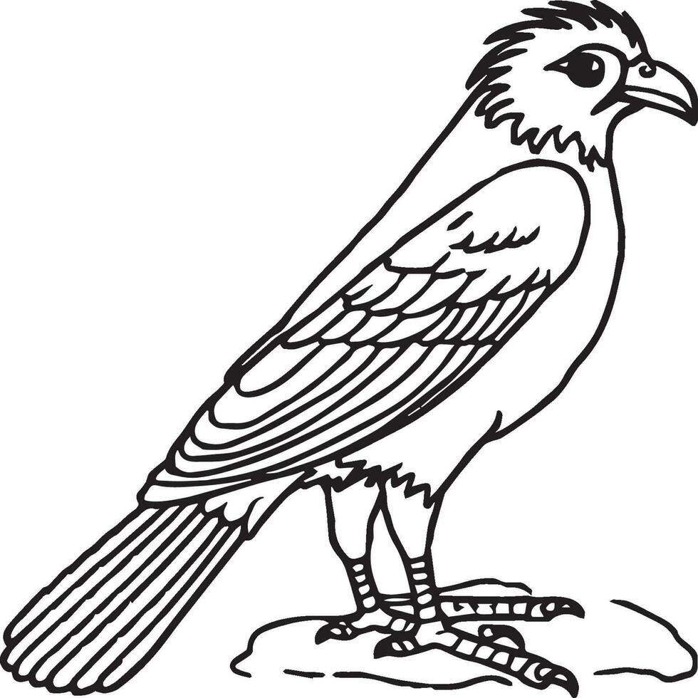 Bird coloring pages vector